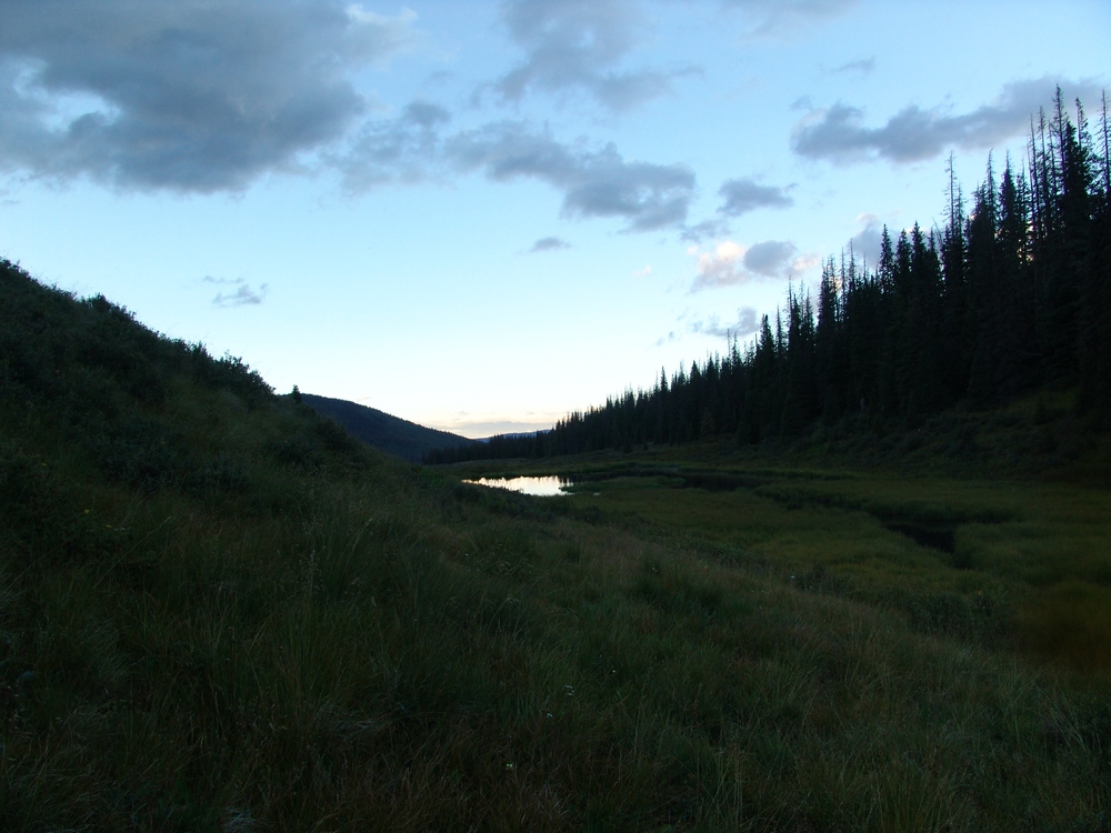 Beaver Pond at Dusk